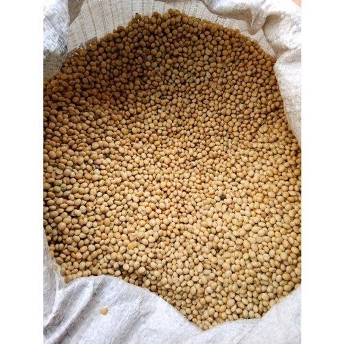 100% Natural Fresh Healthy Rich In Protein And Fiber Pure Organic Beans Seeds Admixture (%): 11%