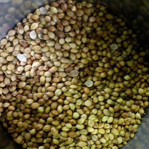 100% Healthy And Hygienically Processed Pure Organic Coriander Seeds Admixture (%): 11%