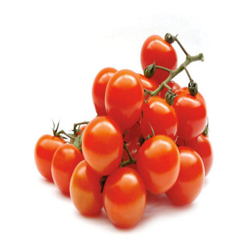 Round 100 % Pure And Vitamins Enriched Healthy Farm Fresh Red Cherry Tomato For Cooking