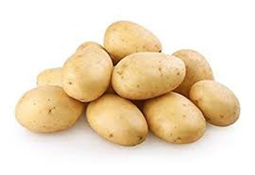 100 % High Quality Healthy Rich Fatty Tasty B-6 Vitamin Organic Potatoes  Injection