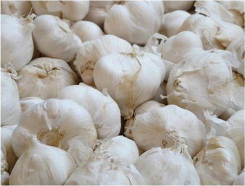 100 Percent Natural And Fresh Quality Rich Vitamins And Minerals A Grade Dry Garlic Cloves 50 Kg Moisture (%): 1479.5%