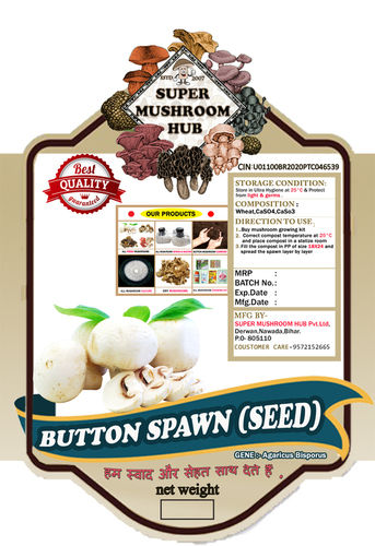 A Grade And White Color Button Mushroom Seed