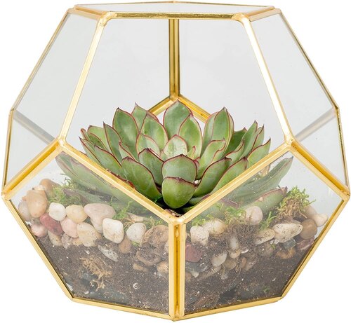 Glass Terrarium - Geometric Design, 10x10x10cm, Gold Accents | Airtight Seal, Durable Glass, Easy Maintenance, Elegant Indoor Decor