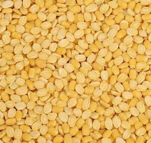 Healthy And Tasty Whole Dried 100 Percent Organic And Pure Yellow Chana Dal