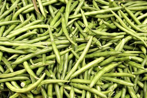 Pure And Natural Raw Fresh Whole French Beans