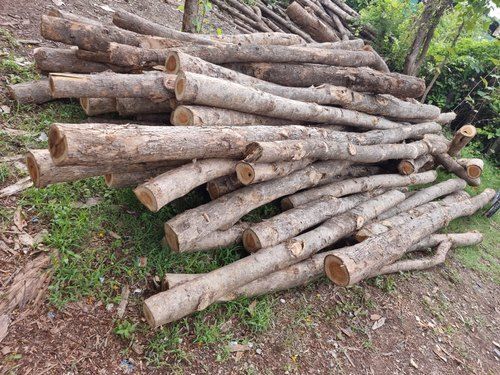 Teak Wood 10 Feet Brown Timber Log, Is The Perfect Addition To Any Home Door Type: Cabinet Doors