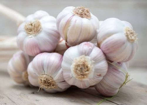 A Grade 100% Pure And Natural Fresh Whole White Garlic Use For Cooking