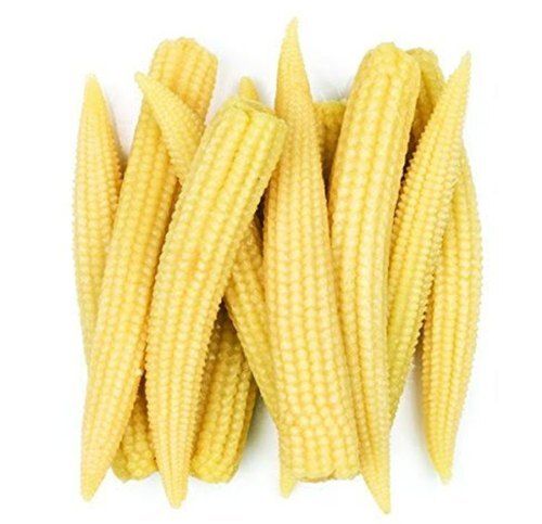 Hygienically Prepared No Added Preservatives Fresh A Grade Yellow Fresh Frozen Baby Corn