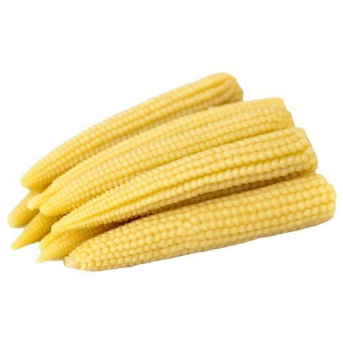 Hygienically Prepared No Added Preservatives Fresh Fresh Yellow Raw Frozen Baby Corn