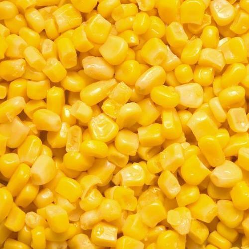 Hygienically Prepared No Added Preservatives Fresh Golden Yellow Fresh Frozen Sweet Corn