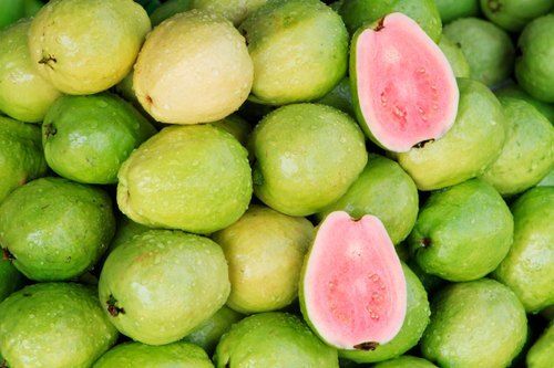 Common Organic Healthy And Seedless Good Quality Enriched Red Guava 