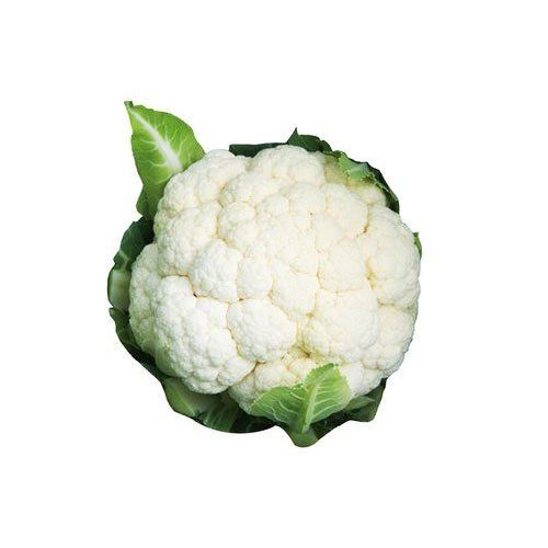Indian Origin Naturally Grown Farm Fresh Raw White Cauliflower