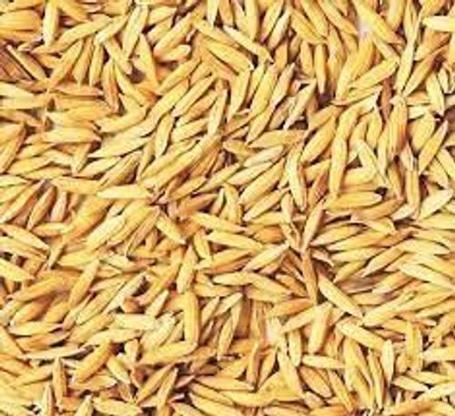 Natural Rich In Fiber Short Grain Rice Seeds