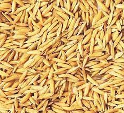 Blue Natural Rich In Fiber Short Grain Rice Seeds