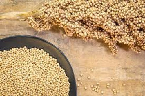 Cholesterol Free High In Fiber Natural And Whole Grain Sorghum Seeds