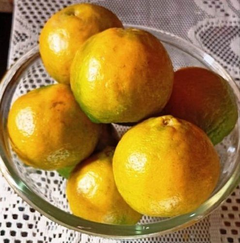 Fresh And Organic Non Glutinous Round Shape Yellow Color Orange Fruits