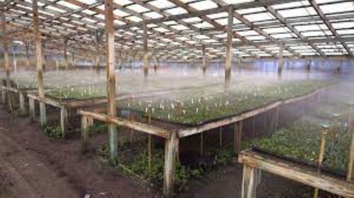 Sheet Metal Greenhouse Misting System