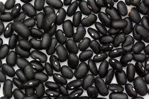 Healthy Immunity Booster And Digestible With No Chemical Black Turtle Bean