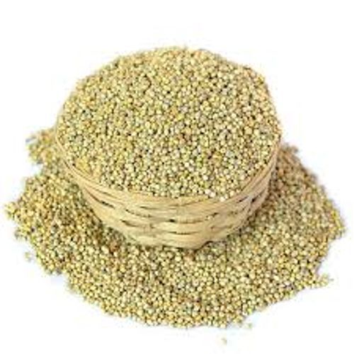 High In Protein Millets Seeds Beneficial For Health And Higher Antioxidants