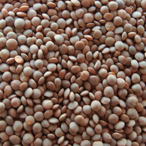 100 Percent Pure And Hygienic Healthy Natural Unpolished Masoor Dal