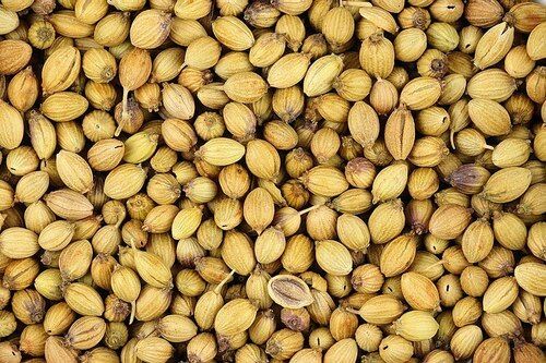 100% Pure Natural Sun Dried Coriander Seed For Cooking