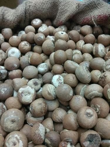 A Grade Fresh And Natural Brown Color Raw Variety Dried Style Betel Nuts