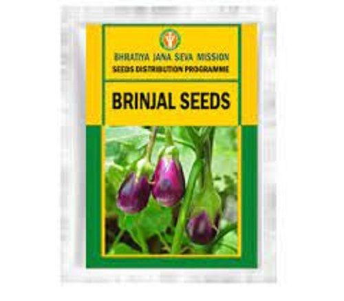 Fresh Healthy And Natural Rich In Many Nutrients Brinjal Seeds For Gardening