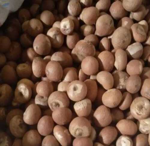 Healthy And Tasty Premium Quality 100 Percent Organic Brown Betel Nut Origin: India