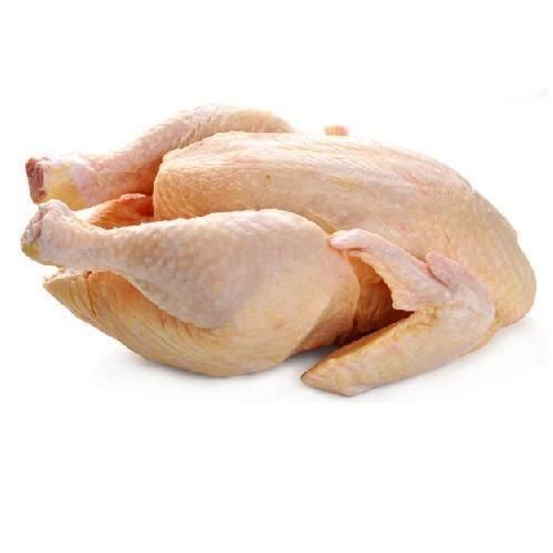 Highly Nutrient Enriched 100% Pure Fresh Skinless Broiler Frozen Chicken For Cooking