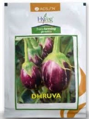 Natural Healthy And Natural Rich In Many Nutrients Brinjal Seeds For Gardening