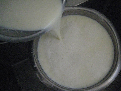 Rich Taste Highly Nutritious And Rich In Protein And Calcium Fresh Cow Milk