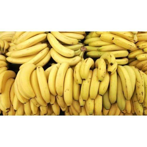 Improving The Immune System And Maintaining Bone Health Grade Fresh Yellow Banana