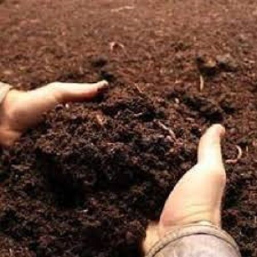  मृदा उर्वरता के लिए 99.9 प्रतिशत शुद्ध खाद आधारित गैर विषैले प्राकृतिक शुद्ध कृषि जैव उर्वरक 