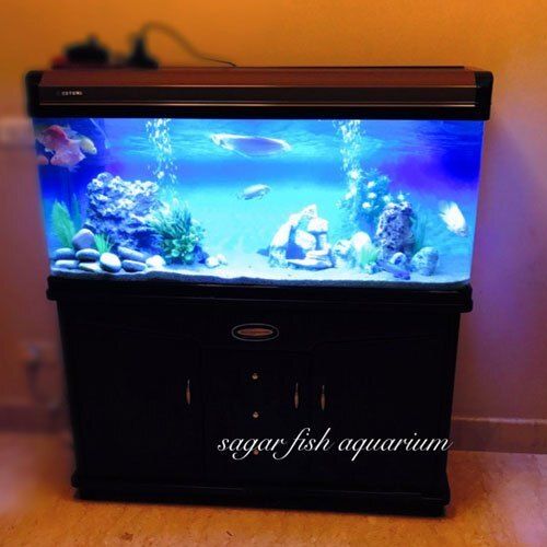 Black And Transparent Floor-Mounted Rectangular Plastic Fish Aquarium