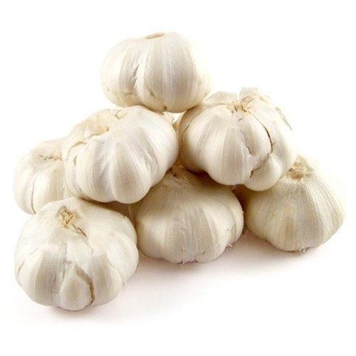 Commonly Cultivated Healthy And Dried Raw Round Fresh Garlic 