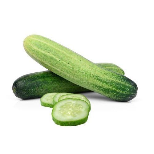 High In Fiber Chemical Free Healthy Natural Rich Tasty Green Fresh Cucumber