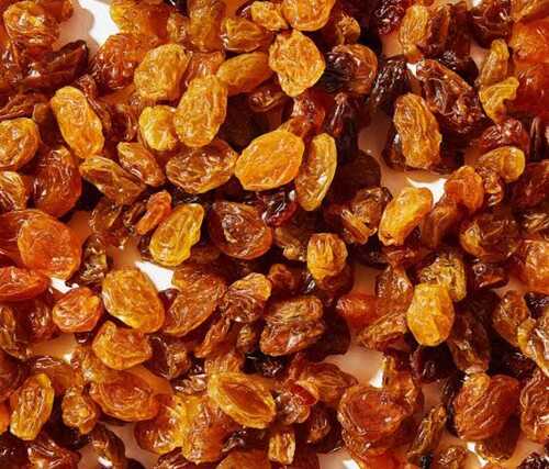 Fresh No Artificial Colors And Chemicals Free Estimated Brown Golden Dried Raisins