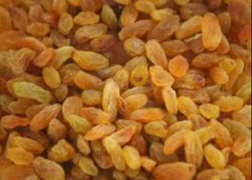 Fresh Rich In Fiber Vitamins And Minerals Round Golden Dried Raisins