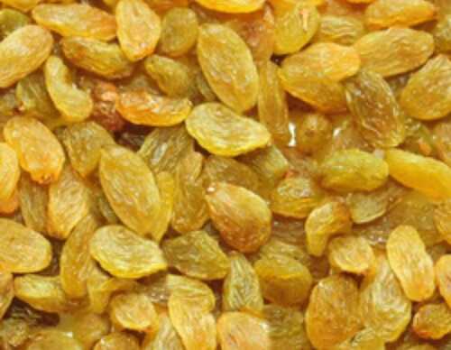 No Artificial Colors And Chemicals Free Highly Nutritious Sweet Golden Dried Raisins