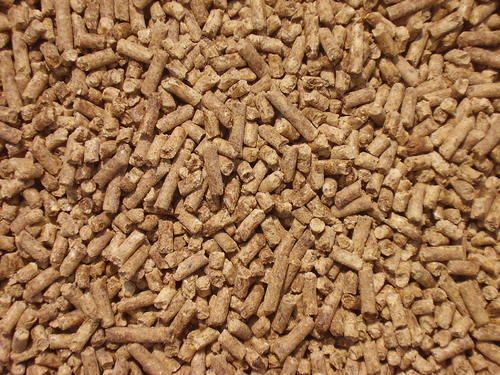 A Grade High Nutrient Rich Cattle Feed