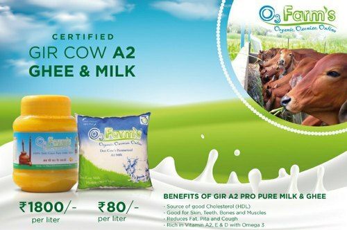 Healthy Rich In Protein Calcium And Potassium Fresh Certified A2 Cow Milk 