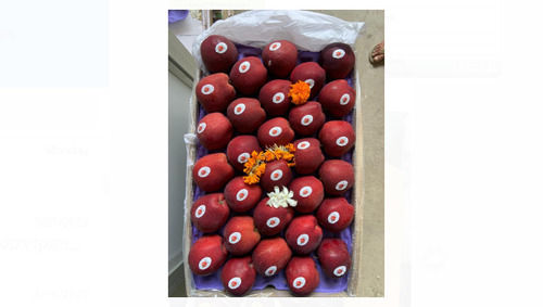 Pack Of 1kg Red Round Shape A Grade Natural And Fresh Apples 