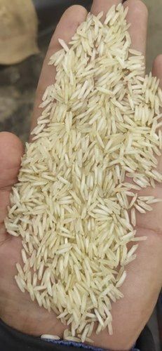 Organically Natural, Fresh Long Grain Brown Rice Good Source Of Carbohydrates And Fiber Admixture (%): 0%