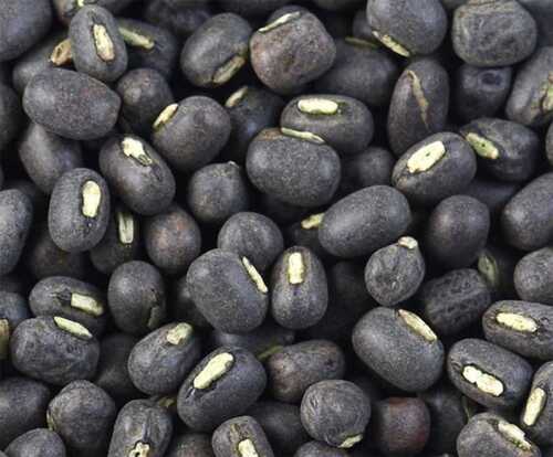 100 Percent Organic And A Grade Black Gram, Good Source Of Protein Origin: India