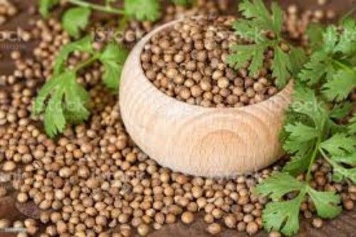 100 Percent Organic Godka Coriander Seeds/ Whole Dhania Seeds