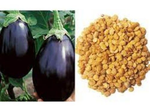 Brown Brinjal - Egg Plant Seeds | Pack Of 150 Seeds [[Pa]]