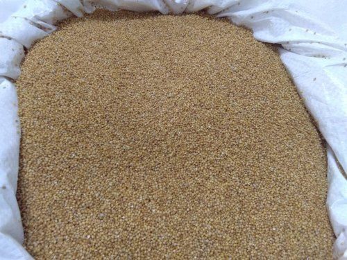 Natural Excellent Source Of Protein And Gluten Free Brown Grain Foxtail Millet