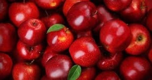 Pack Of 1 Kilogram Delicious Sweet Red Fresh A Grade Apple