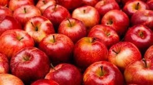 Common A Grade Medium Size Red Fresh And Pure Apple Fruit For Good And Healthy Diet