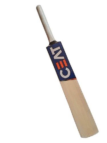 Premium Strength And Wood Lightweight Poplar Willow Cricket Bat 